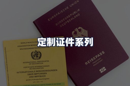 定制证件系列